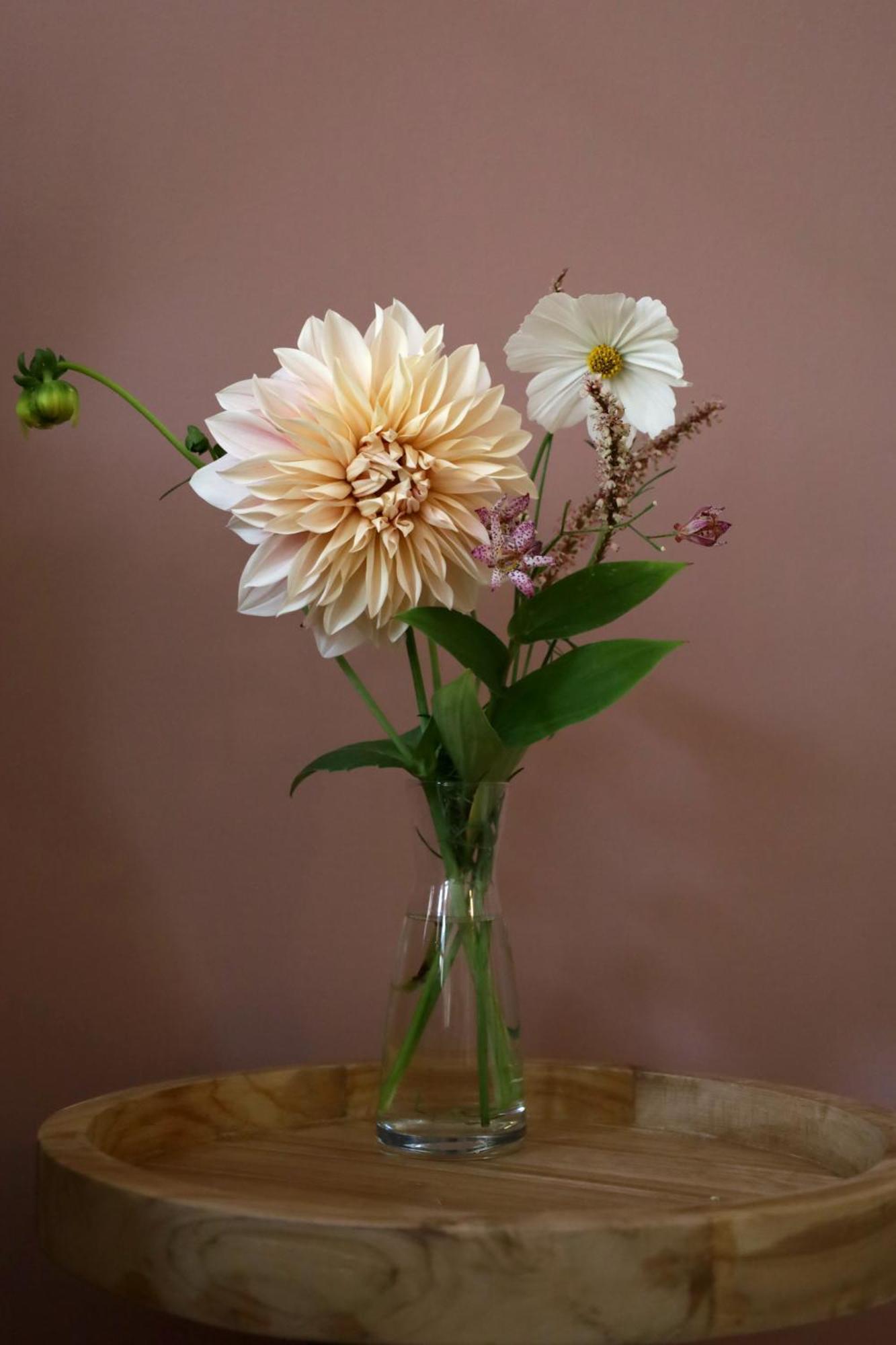 Bij Joseph Bed & Breakfast 's-Hertogenbosch  Dış mekan fotoğraf